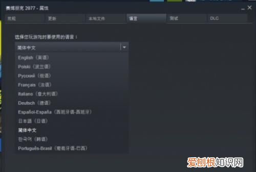 赛博朋克2077中文设置方法,xbox赛博朋克2077设置中文