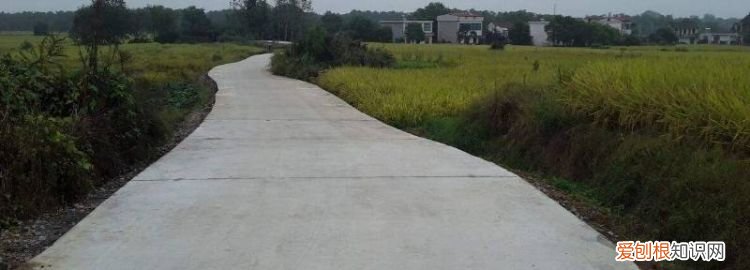 怎样防止水泥地面被冻 ，水泥地怎么保暖？