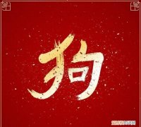 生肖属狗的人适合做什么职业,生肖属狗最适合干什么工作