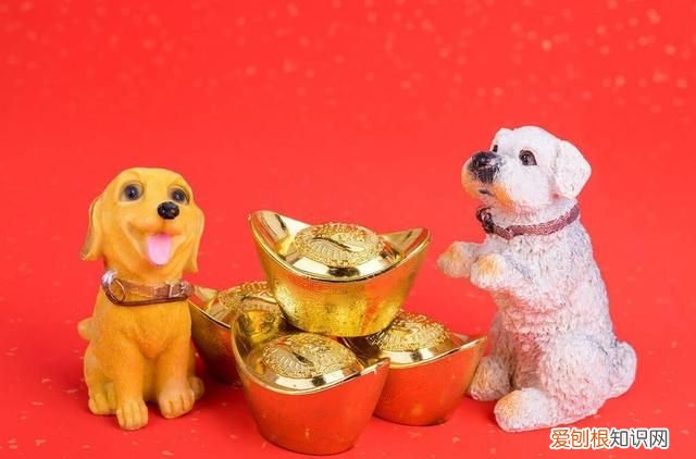 生肖属狗的人适合做什么职业,生肖属狗最适合干什么工作