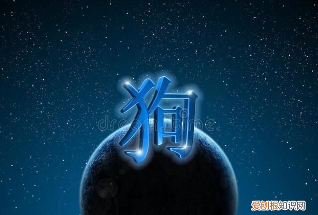 生肖属狗的人适合做什么职业,生肖属狗最适合干什么工作