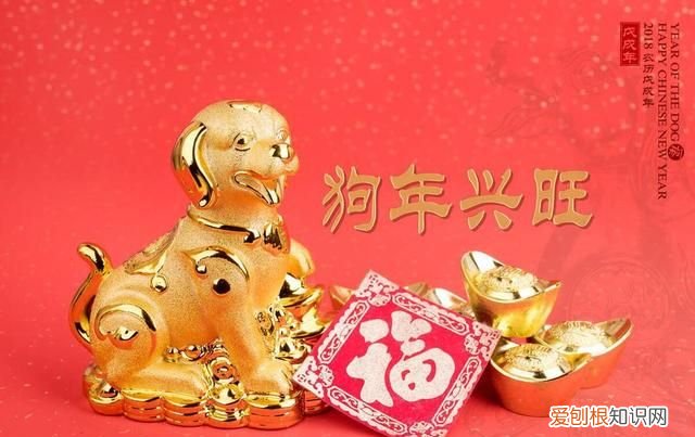 生肖属狗的人适合做什么职业,生肖属狗最适合干什么工作