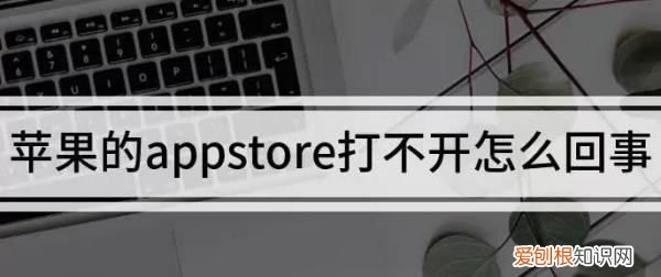 苹果app store打不开怎么回事