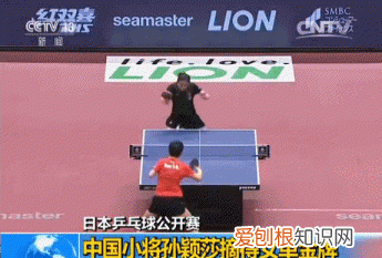 刘国梁以前的乒乓球冠军 ，刘国梁带领乒乓球队夺过几次冠军？