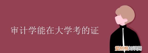 审计学可以考注册会计师，审计学专业可以考取哪些相关证书呢