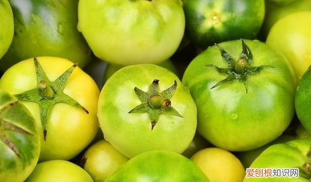 七种有毒蔬菜千万别吃,常见的8种蔬菜吃了会中毒