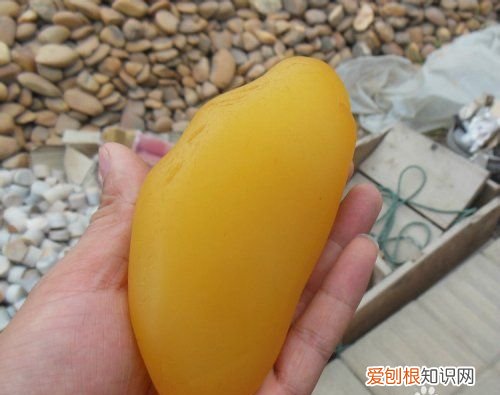 怎么判断是不是金丝玉，怎样辨别真假玉石手镯