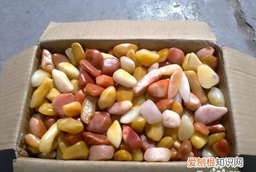 怎么判断是不是金丝玉,怎样辨别真假玉石手镯