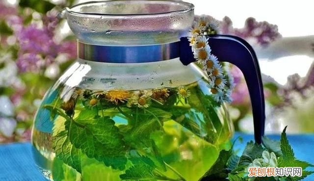 莲子去芯还是苦能吃吗 莲子去掉芯了还清热降火吗