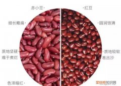 红豆薏米水祛湿吗? ，红豆薏米煮水可以去湿气吗？