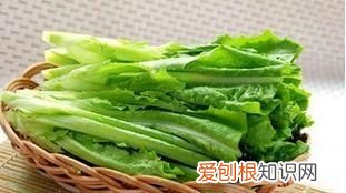 油麦菜跟莴苣有什么区别 ，油麦菜和莴苣的关系？