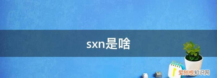 sgnx是什么意思 ，sx是什么意思?？