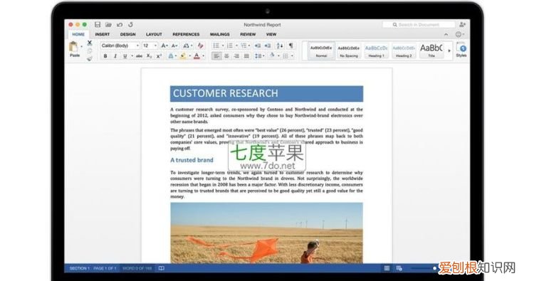 苹果电脑能用office办公软件吗