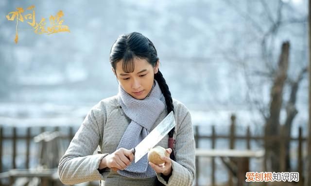 海清周也综艺,摇篮海清在哪个台播