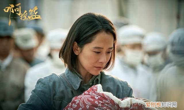 海清周也综艺,摇篮海清在哪个台播