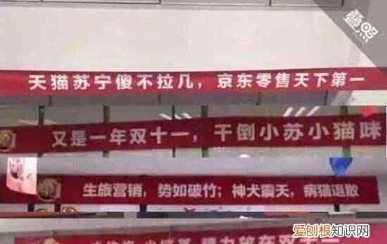 双十一最开始是哪年 ，双十一 哪年 开始？