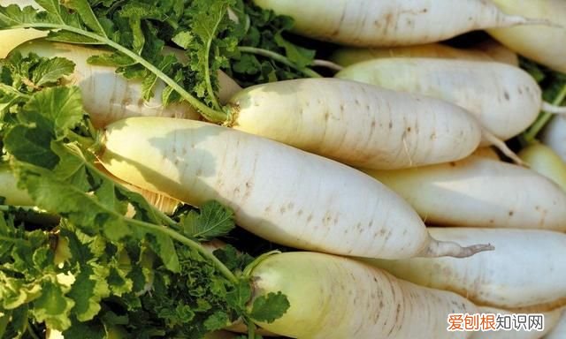 萝卜放久了空心是什么原因造成的 ，萝卜放久了为什么会空心还能吃吗？