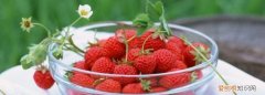 冬天草莓要放冰箱吗? ，冬天草莓放冰箱还是放外面？