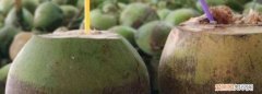 泰国椰青开口 ，泰国椰青能保存多久？