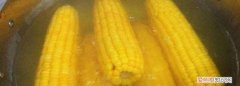 煮水果玉米的时间多长最好 ，煮水果玉米要煮多久才熟透？
