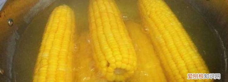 煮水果玉米的时间多长最好 ，煮水果玉米要煮多久才熟透？