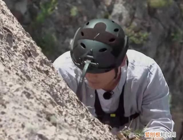 再见爱人王秋雨朱雅琼离婚了吗