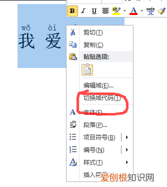 在word中如何加一条横线，word中怎么删除汉字保留拼音