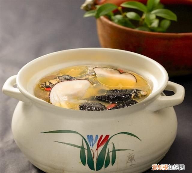 端午节前后适合煲什么汤 端午节广东人煲什么老母鸡汤