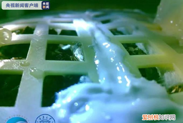 嫦娥四号奔月的思维导图 嫦娥四号探测器奔月一周年