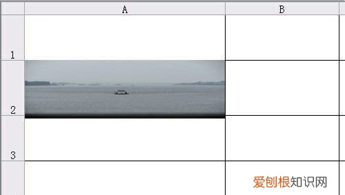 自动适应表格大小怎么做,excel粘贴图片自动适应表格大小