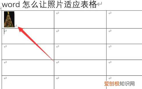 自动适应表格大小怎么做,excel粘贴图片自动适应表格大小