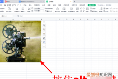 自动适应表格大小怎么做，excel粘贴图片自动适应表格大小