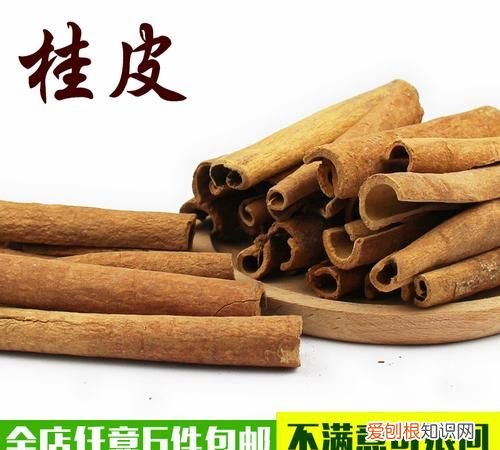 煲汤为什么放桂皮，桂皮在炖肉起什么作用和功效