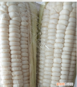 玉米可以放冰箱冷冻吗，玉米放冰箱冷藏可以放多久