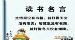 读书好好读书读好书这是谁的名言