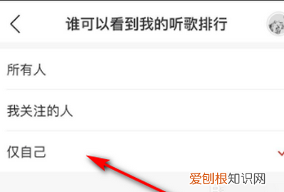 网易云歌单怎么仅自己可见，网易云怎么把歌单变成私密歌单
