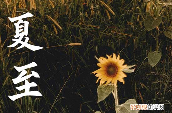 2023年六月几号是夏至