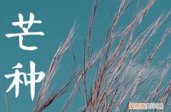 芒种节气的天气特点