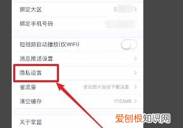 掌上英雄联盟怎么设置隐私,掌上英雄联盟怎么隐身在线