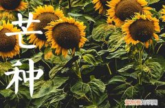 2023年芒种过后雨水会变多吗 芒种过后天气怎么样