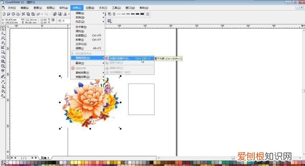 cdr尺寸怎么样更改，CDR怎么把图片调亮