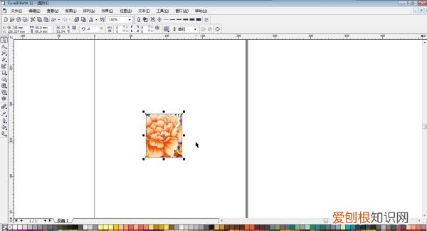 cdr尺寸怎么样更改，CDR怎么把图片调亮