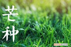 2023年芒种下雨是旱还是涝 芒种下雨预示以后天气会怎样