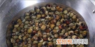 螺蛳可以钓鱼，螺蛳肉钓鲶鱼效果怎么样