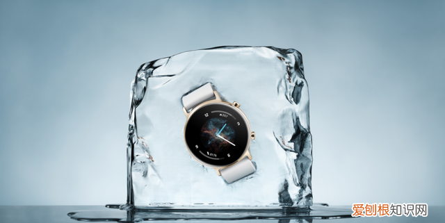 华为watch gt2功能介绍发布