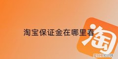 淘宝交的保证金在哪里可以查看,淘宝开店教程详细步骤保证金