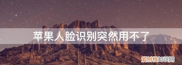 苹果x人脸识别突然失灵，苹果xr人脸识别突然失灵怎么办