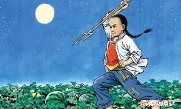 丁香结选自哪本书，丁香结选自宗璞的哪篇小说