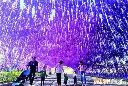 包头最值得去的景点