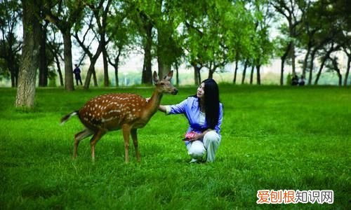 包头最值得去的景点